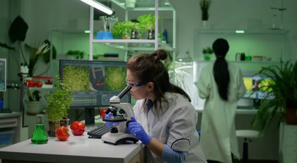 “Agritech Innovation”, il futuro del cibo si studia in Toscana