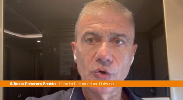 Ponte sullo Stretto, Pecoraro Scanio: “Salvini ritiri il progetto”