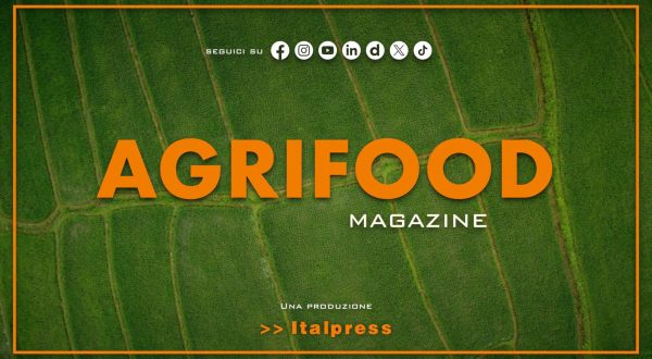 Agrifood Magazine – 3/9/2025