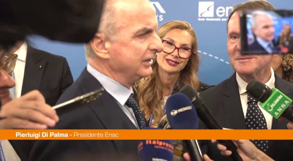 Trasporto aereo, Di Palma “Cani a bordo frutto di grande sinergia”