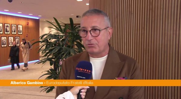 Gambino (FdI) “Occidente compatto, fiduciosi su tavolo Putin-Zelensky”
