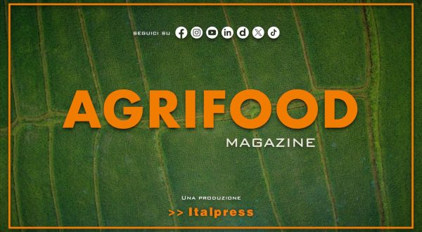 Agrifood Magazine – 10/9/2025