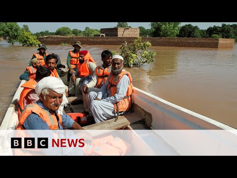 Pakistan floods: Rescuers tell BBC of growing flood emergency | BBC News