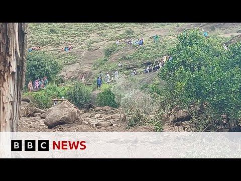 Sudan landslide kills hundreds, UN says | BBC News