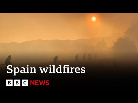 Spain counts the cost of ‘nightmare’ wildfire summer | BBC News