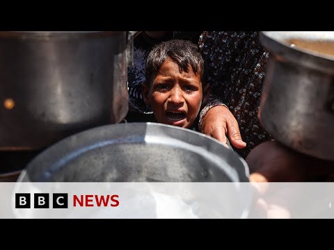 BBC and news agencies’ film calling on Israel to allow foreign journalists into Gaza | BBC News