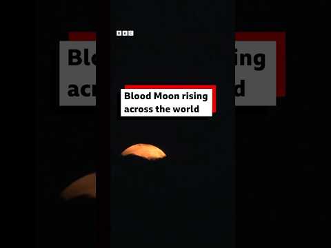 Blood Moon rising across the world. #Moon #BBCNews #Shorts