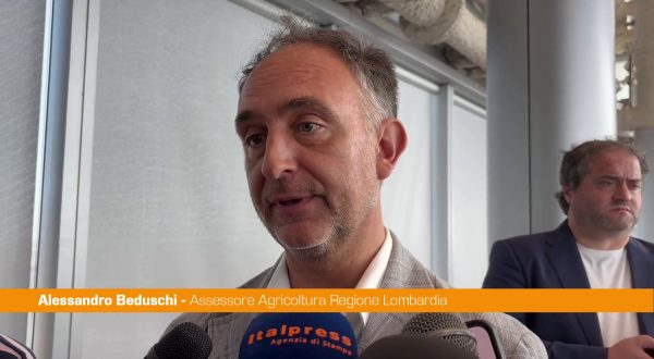 Peste suina, Beduschi “Soddisfatti per revoca restrizioni Ue”