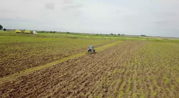 L’Italia rafforza i partenariati agricoli