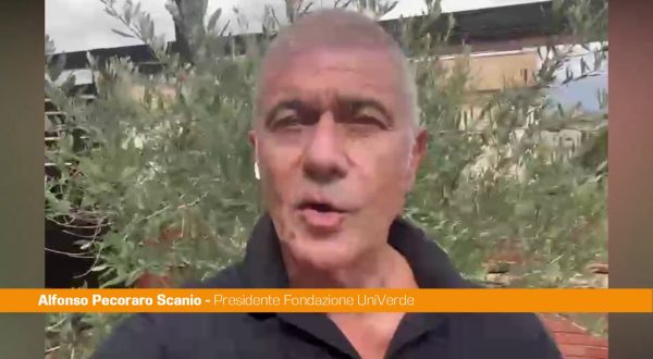 Pecoraro “Governo e Parlamento diano priorità a giovani e innovazione”
