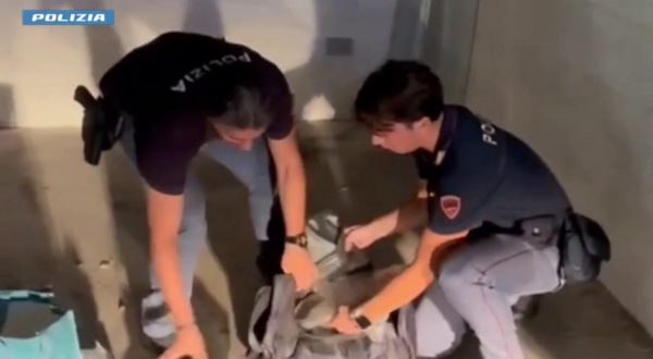 Nel box 70 chili di droga, 30enne arrestato a Roma