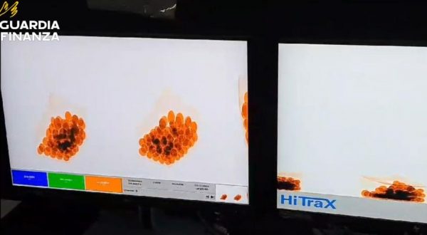 Traffico di eroina a Malpensa, sequestro per 1 milione e 7 arresti