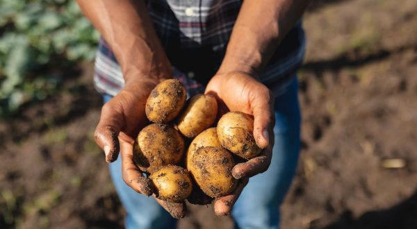World Food Day, “Potatoes Forever!” celebra la sostenibilità