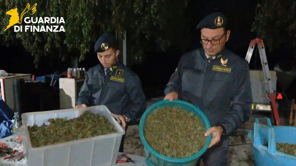 Scoperta &ldquo;fabbrica della droga&rdquo; a Napoli, sequestrata una tonnellata di cannabis