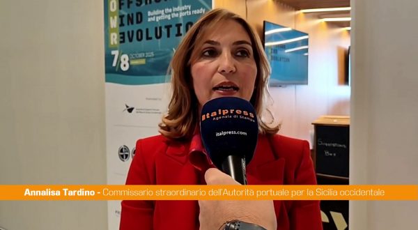 Tardino “L’eolico offshore è una grande opportunità di crescita”