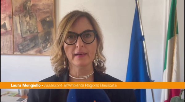 Basilicata, primo studio di telemetria satellitare sulla cicogna nera