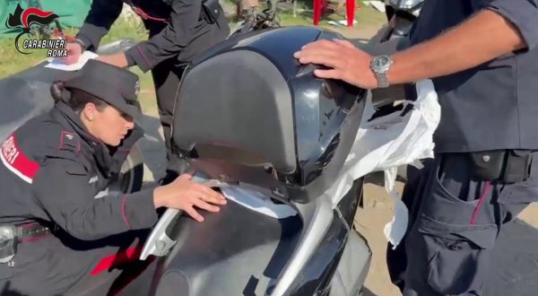 Scoperto in Riserva Aniene a Roma un deposito di moto e scooter rubati