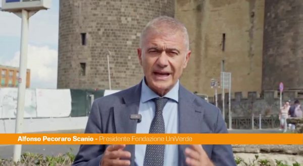 Pecoraro Scanio “La Campania diventi polo di attrazione per i giovani”