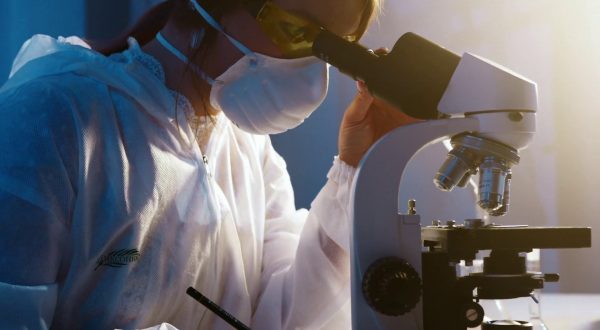 IA, oggi algoritmi fondamentali per marketing sanitario