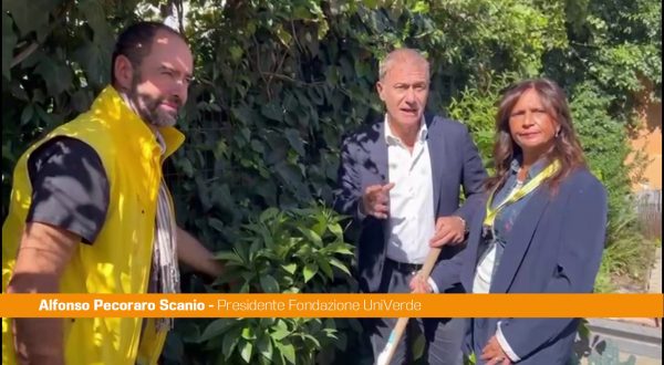 Pecoraro Scanio “La Festa degli alberi rilancia l’amore per la natura”