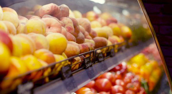 Agricoltura e industria alimentare trainano la ripresa italiana