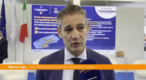 Lupo “Nel 2024 il settore agricolo ha raggiunto numeri da record”