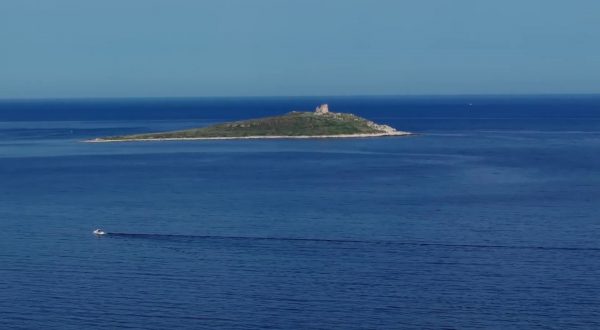 “NauticinBlu”, riparte il progetto di conservazione marina di Marevivo