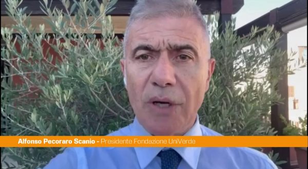 Pecoraro Scanio “Italia sia Paese guida nel Food for Peace”