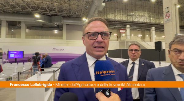 Vinitaly.USA, Lollobrigida “Spazi di crescita enormi”