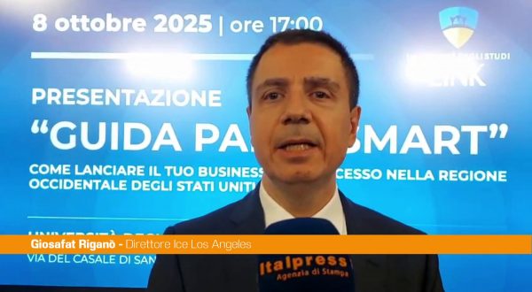 Riganò “Stati Uniti mercato strategico per le imprese italiane”