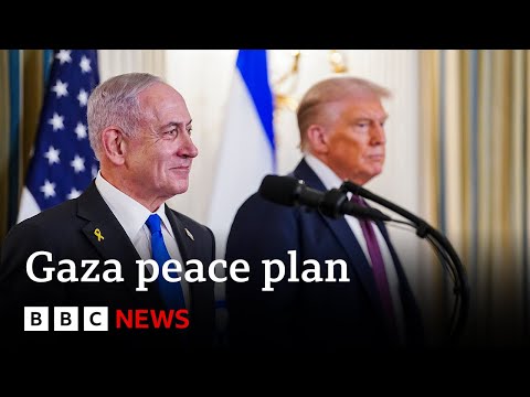 Trump peace plan ‘ignores interests of Palestinian people’, Hamas official says | BBC News