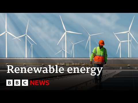 Renewables overtake coal as world’s biggest source of electricity | BBC News
