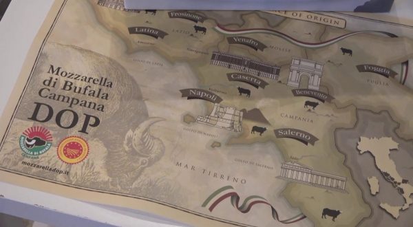 Mozzarella di bufala al top sul web, simbolo benessere e felicità