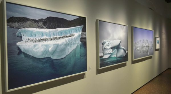 Vicenza, alle Gallerie d’Italia la mostra “Cristina Mittermeier”