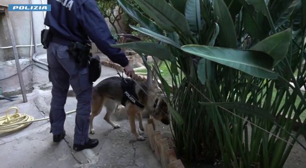 Duplice omicidio di due bambini, giovane madre arrestata nel reggino