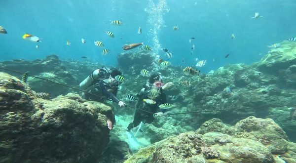 Cresce in Italia il mercato dei droni marini e subacquei