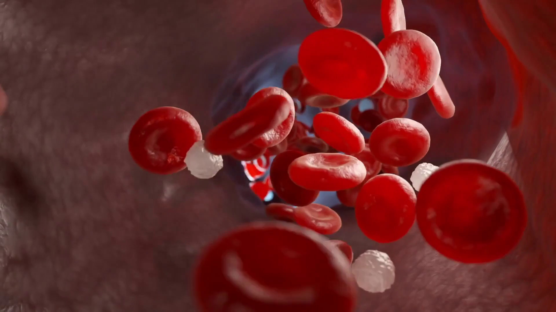 EGPA, un Libro Bianco dà voce ai pazienti e chiama le istituzioni all'azione