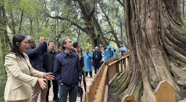 Cina-Italia: Strada per Shu e Via Appia, dialogo tra civiltà attraverso montagne e mari