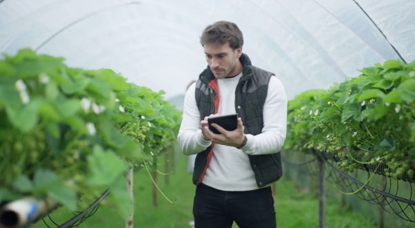 Agricoltura Made in Italy, tra primati e fragilità