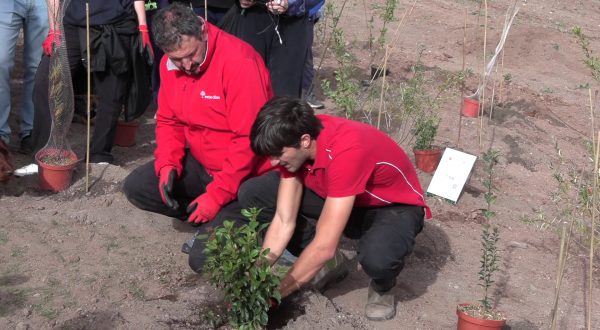 TIM pianta 400 nuovi alberi a Roma per contribuire al miglioramento urbano