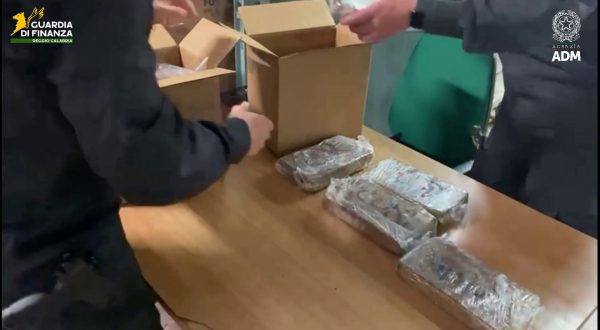 Al porto di Gioia Tauro sequestrati oltre 175kg di cocaina