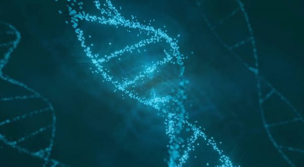 Cardiomiopatie, identificato gene finora sconosciuto