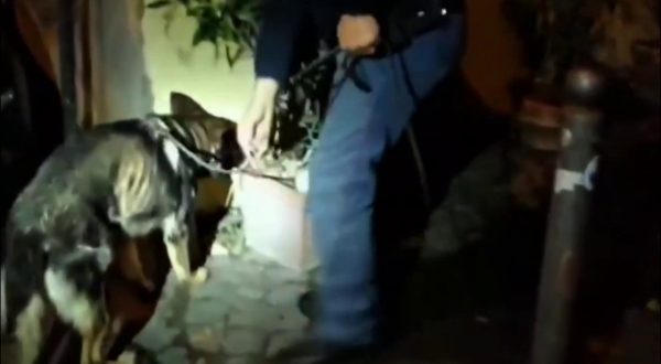 Stretta su movida a Roma, sanzioni a tappeto e chiuso un locale a Trastevere