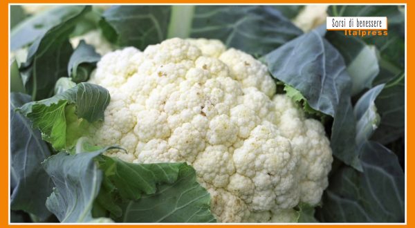 Sorsi di Benessere – Un pesto di cavolfiore salutare e pratico