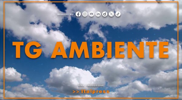 Tg Ambiente – 23/11/2025