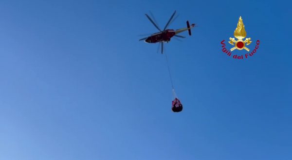 Recuperato con elicottero dai Vigili del fuoco cavallo bloccato nel fango