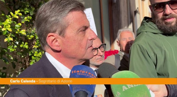 Calenda “Cambiare il meccanismo di nomine per il Garante della privacy”