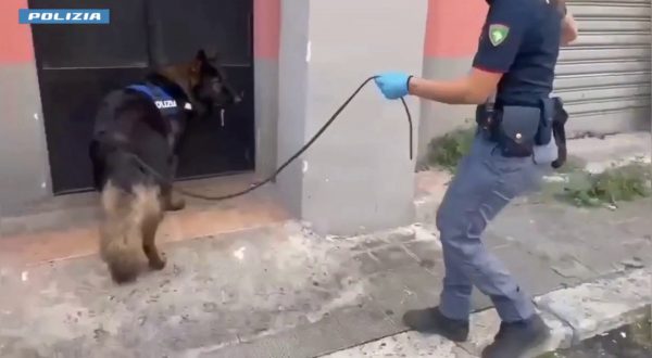 16enne arrestato a Catania, in cantina nascondeva droga e fucile a canne mozze