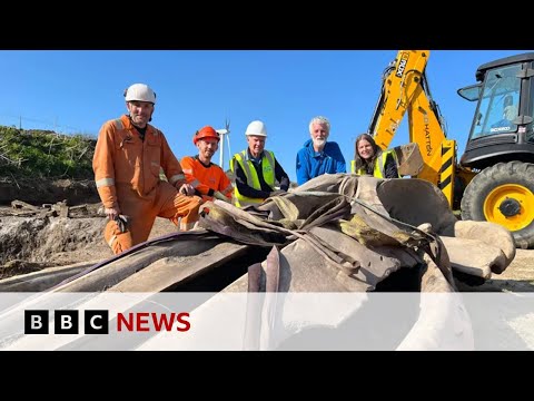 Ten-hour mission to excavate huge whale head in Cornwall, UK | BBC News