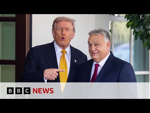 US President Donald Trump gives Hungary one-year exemption from Russian energy sanctions | BBC News